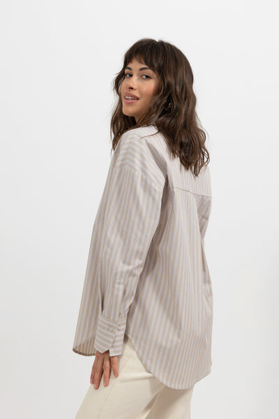 Koszula Menza Stripes Beige Petite